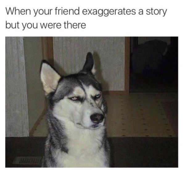 Dog meme about when friend exaggerates the story
