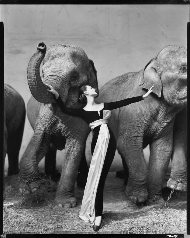 $1,151,976. - Richard Avedon’s Dovima with Elephants, 1955.