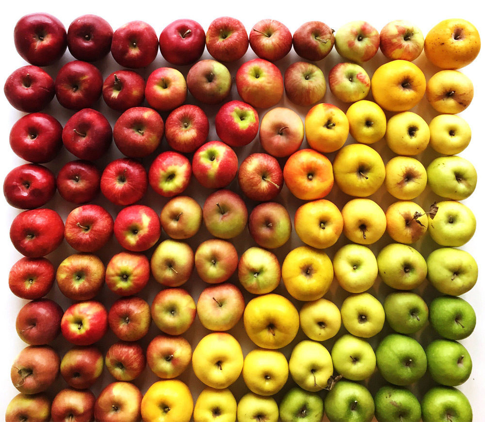 oddly satisfying - gradient food