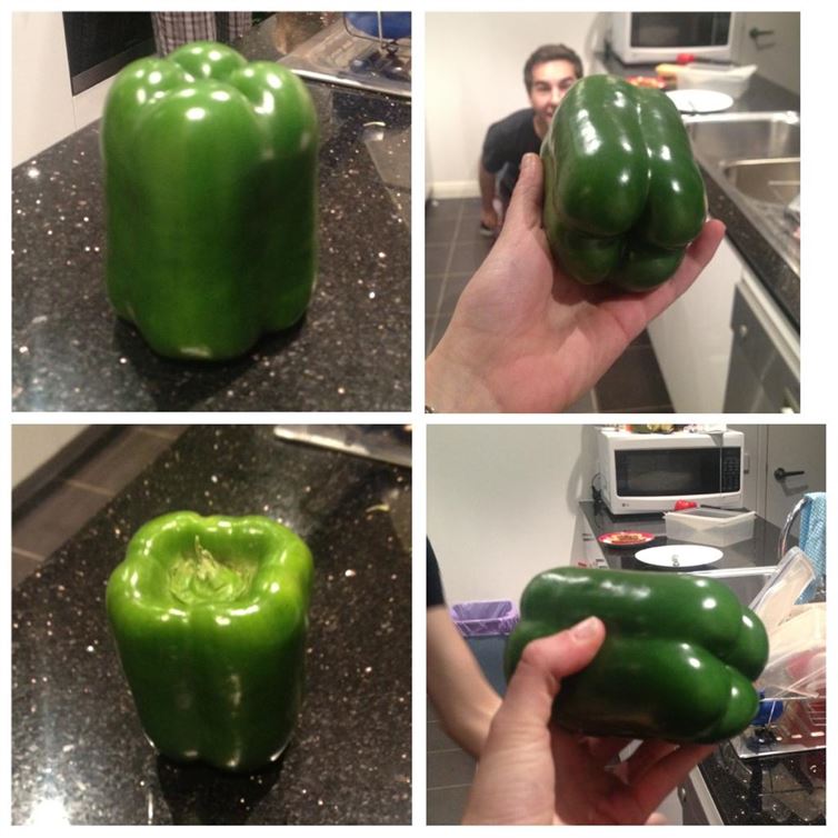 oddly satisfying - perfect green bell pepper