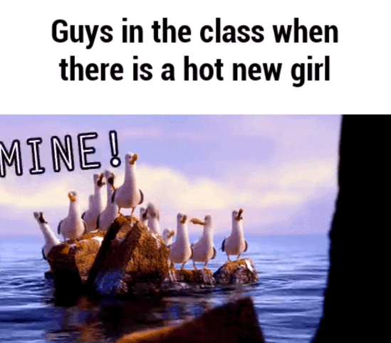 meme stream - finding nemo mine - Guys in the class when there is a hot new girl Mine!