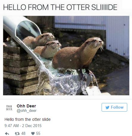 tweet - otter slide - Hello From The Otter Slide Ohh Ohh Deer Deer y Hello from the otter slide 47 48 55