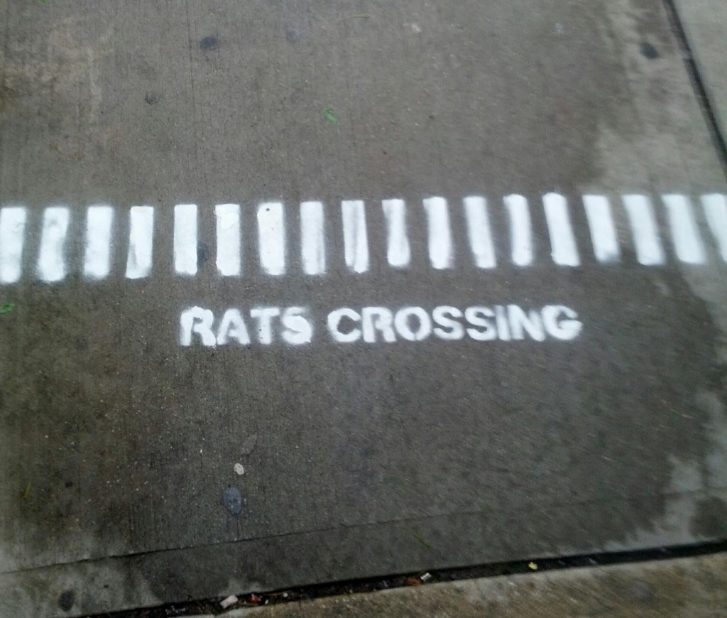 asphalt - Rats Crossing