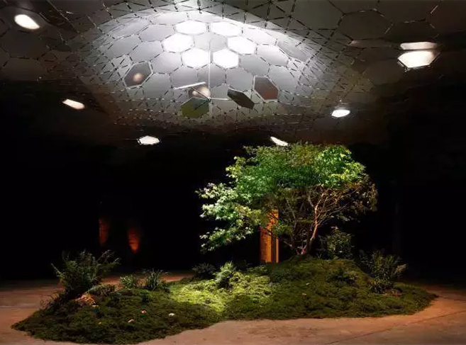 The Lowline Lab. The aim of the Lowline Lab is to bring new life to forgotten underground space. It captures sunlight from rooftops into a reflective dome allowing plants and trees to grow underground, to try and give the nature that we’ve butchered a second chance.