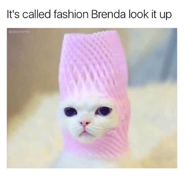 it's called fashion brenda look it up - It's called fashion Brenda look it up Gdabmoms