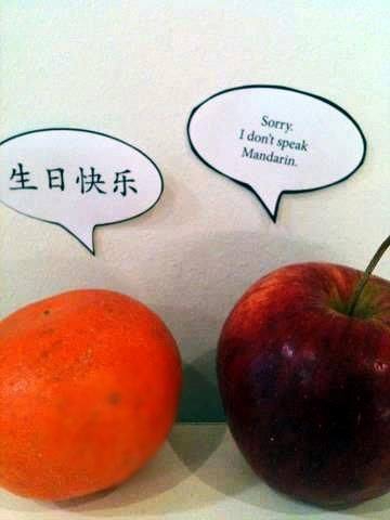mandarin puns - Sorry I don't speak Mandarin