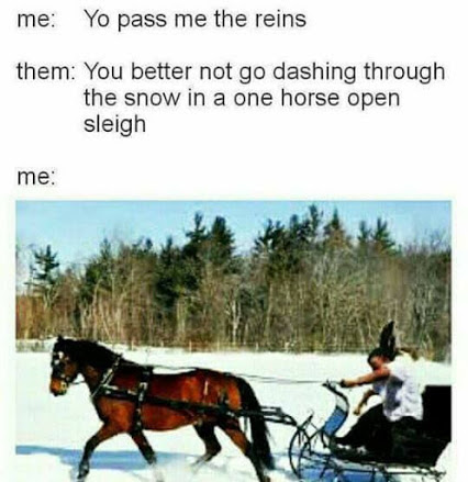 horse sleigh - me Yo pass me the reins them You better not go dashing through the snow in a one horse open sleigh me