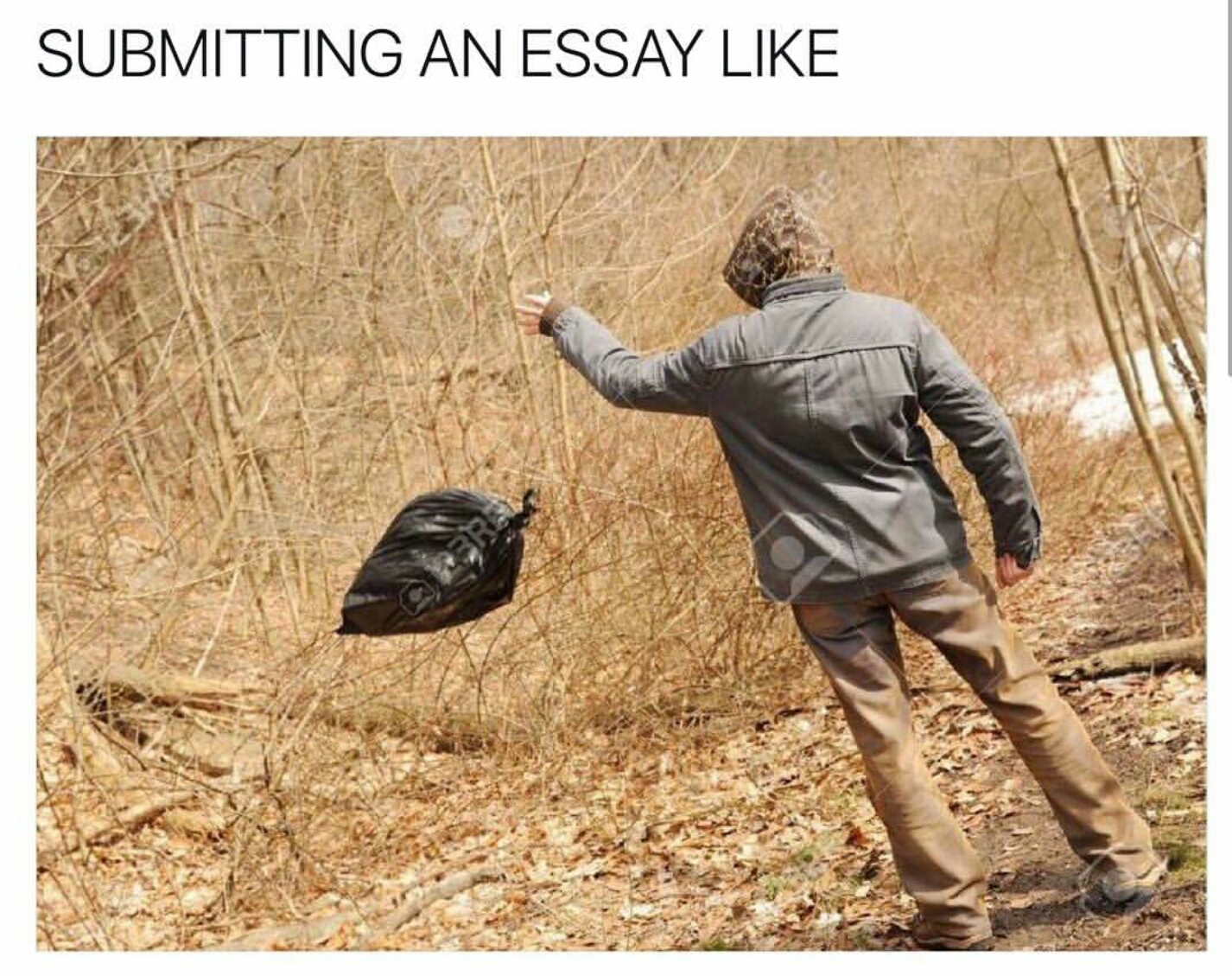 submitting essay meme - Submitting An Essay