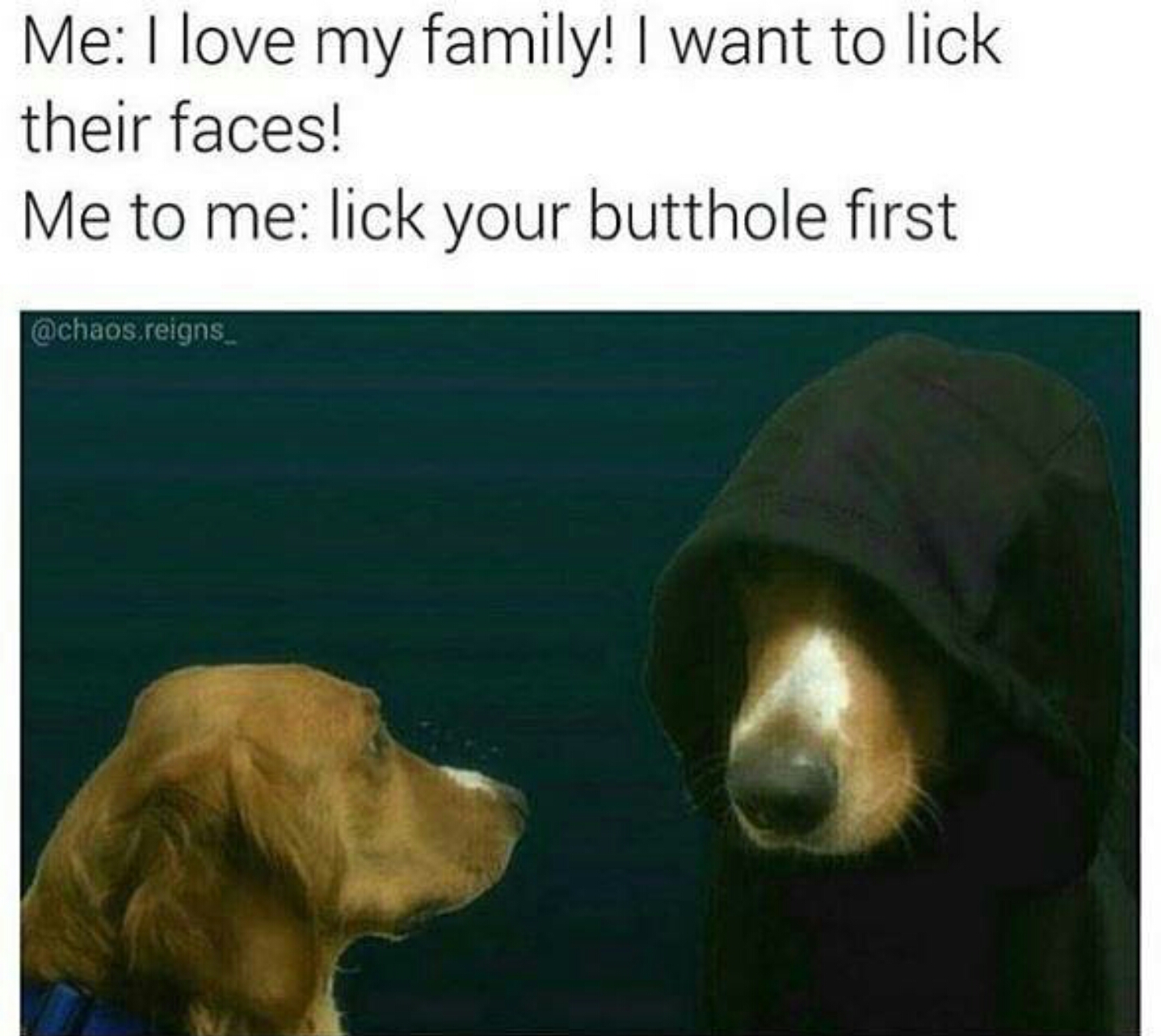 me to me dog meme - Me I love my family! I want to lick their faces! Me to me lick your butthole first reigns