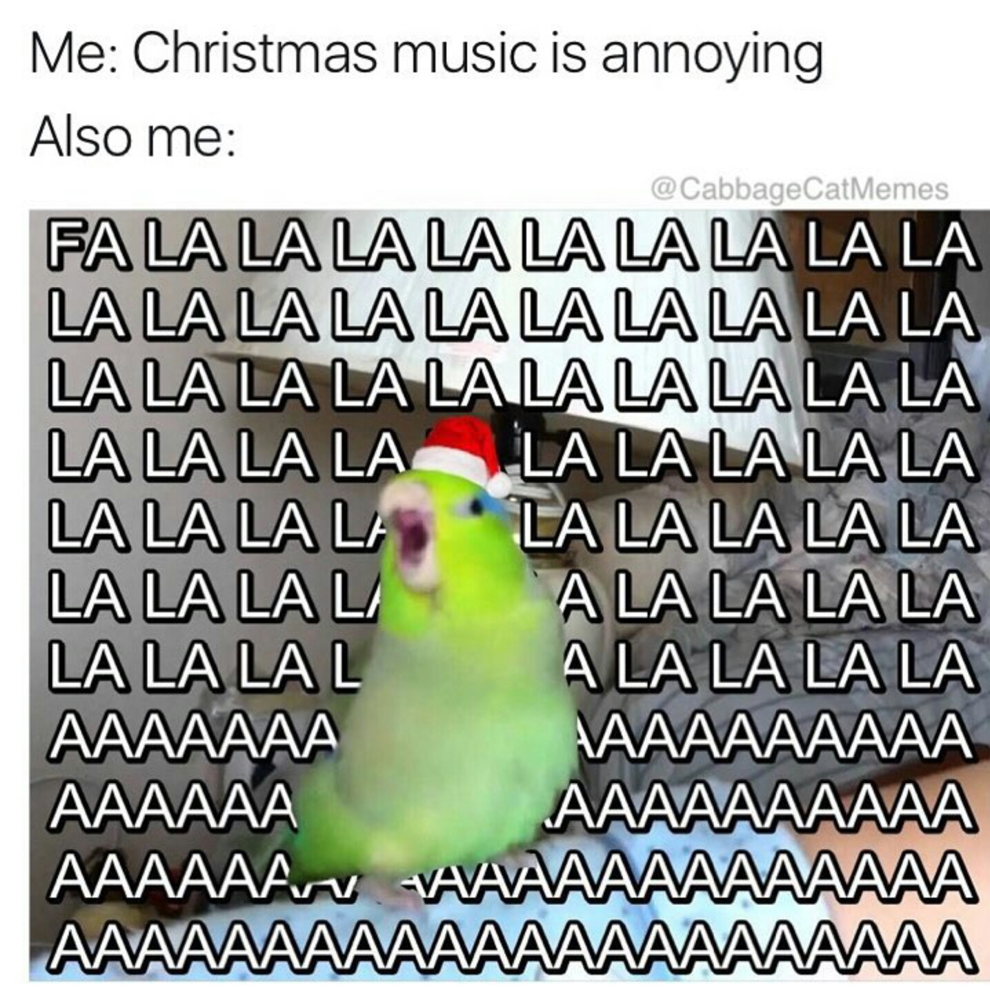 christmas bird memes
