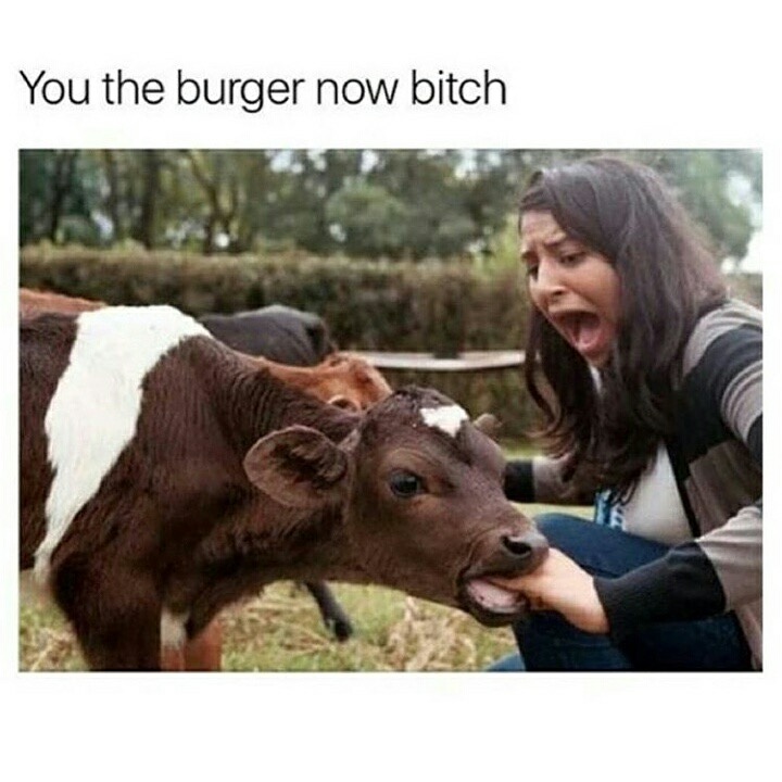 memes - you the burger now bitch - You the burger now bitch