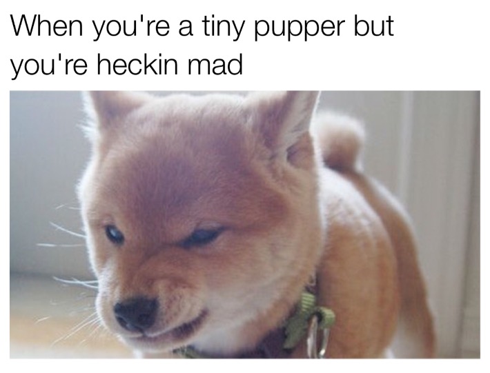 23 Hilarious Memes To Crack You Up