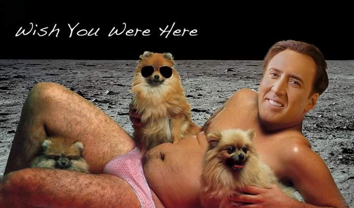meme - wish you were here cage - Wish You Were Here