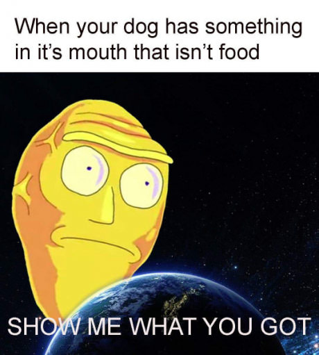 meme - rick and morty meme - When your dog has something in it's mouth that isn't food Show Me What You Got Sot