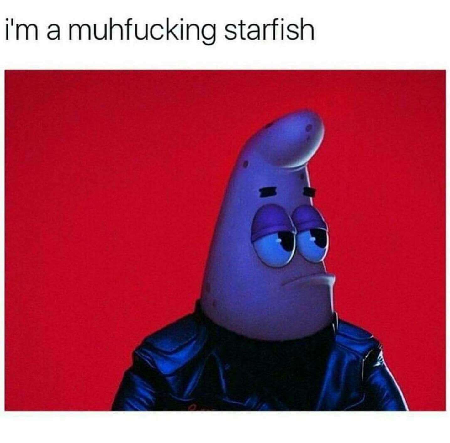 meme - starboy patrick - i'm a muhfucking starfish