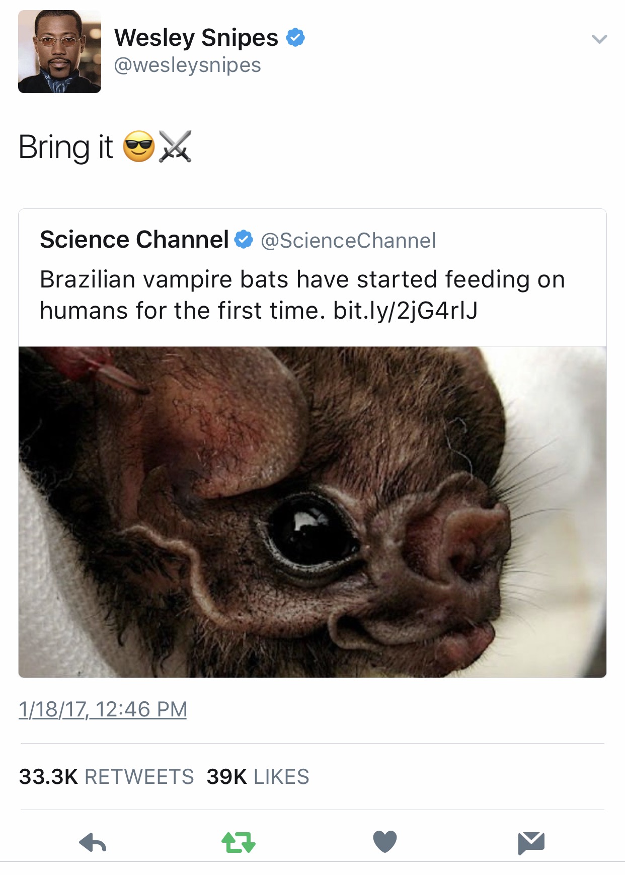 memes - you haven t meme - Wesley Snipes Bring it ex Science Channel Brazilian vampire bats have started feeding on humans for the first time. bit.ly2jG4rlJ 11817, 39K 27