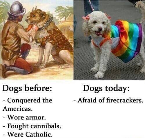 memes - dogs then dogs now - Dogs today Afraid of firecrackers. Dogs before Conquered the Americas. Wore armor. Fought cannibals. Were Catholic.