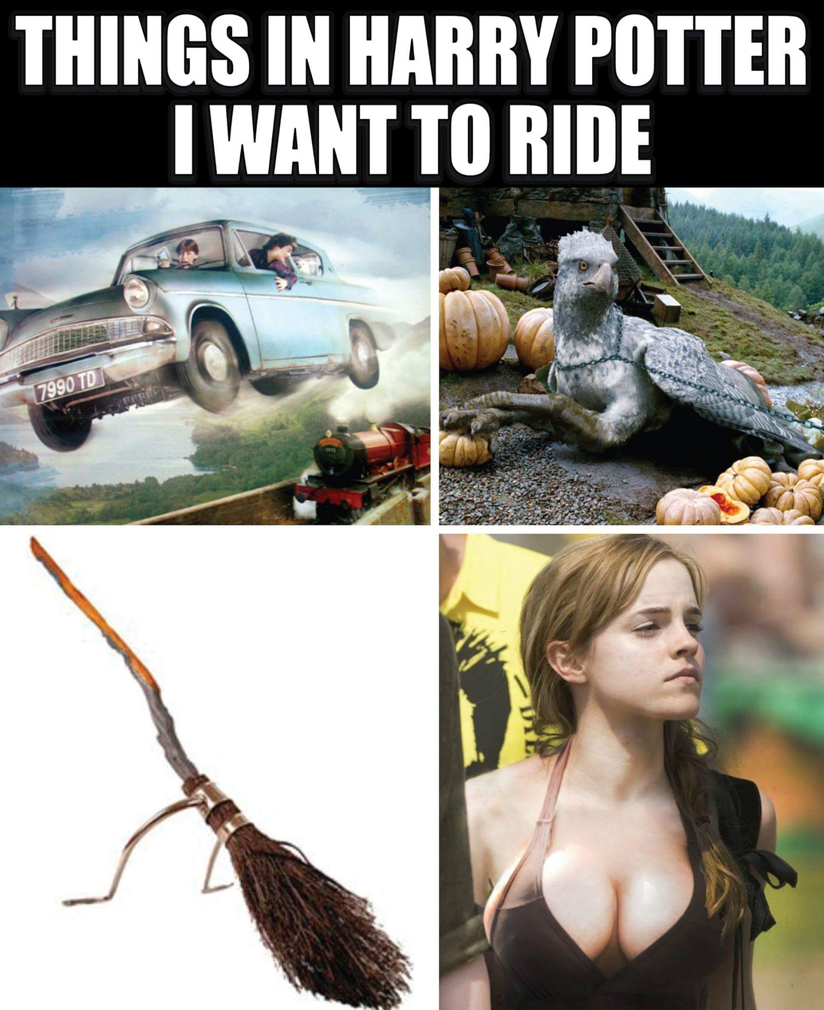 memes - 4 things meme - Things In Harry Potter I Want To Ride 7990 Td