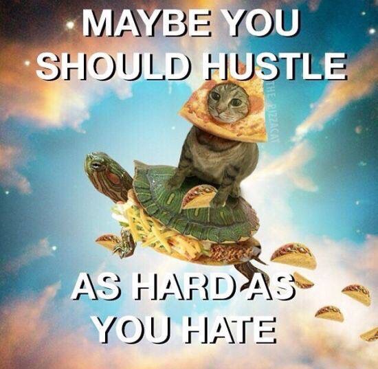 meme stream - maybe you should hustle as hard as you hate - Maybe You Should Hustle As Hardas You Hate
