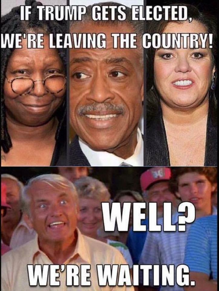 meme stream - you leaving the country memes - If Trump Gets Elected, We'Re Leaving The Country! S Well We'Re Waiting.