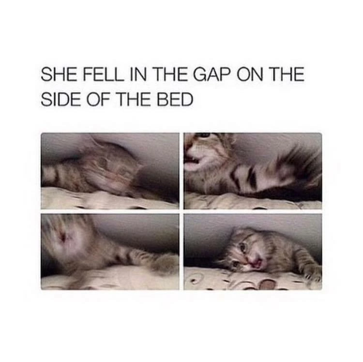 memes to brighten your day - She Fell In The Gap On The Side Of The Bed