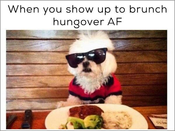 31 Fresh Memes To Kick Start Your Day