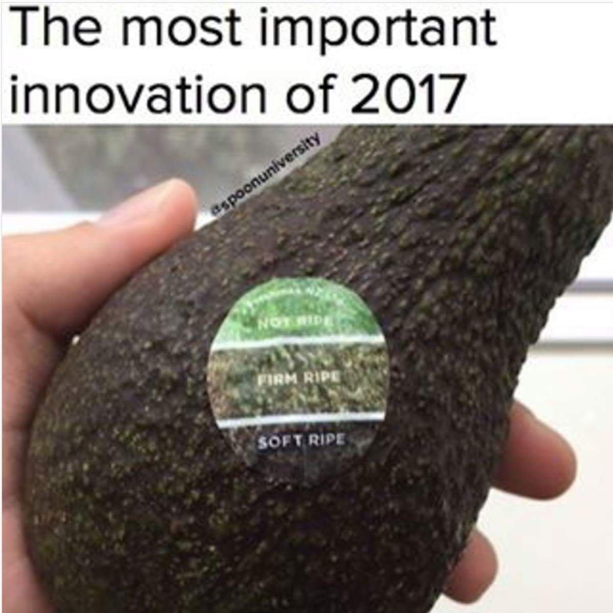 meme stream - avocado sticker - The most important innovation of 2017 espoonuniversity Not Pirm Soft Ripe