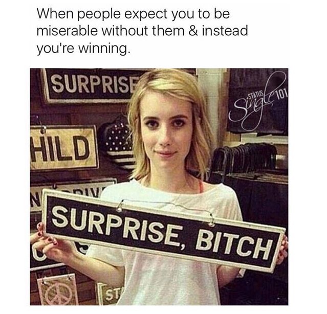 memes - surprise bitch meme - When people expect you to be miserable without them & instead you're winning. Surprisf Status 10V Hild niv Nsurprise, Bitch