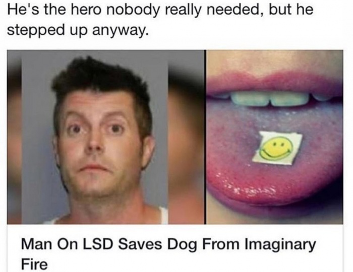 lsd tab - He's the hero nobody really needed, but he stepped up anyway. Man On Lsd Saves Dog From Imaginary Fire