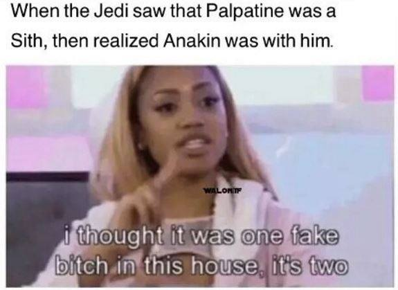 power bottom memes - When the Jedi saw that Palpatine was a Sith, then realized Anakin was with him. Waloni i thought it was one fake bitch in this house, it's two