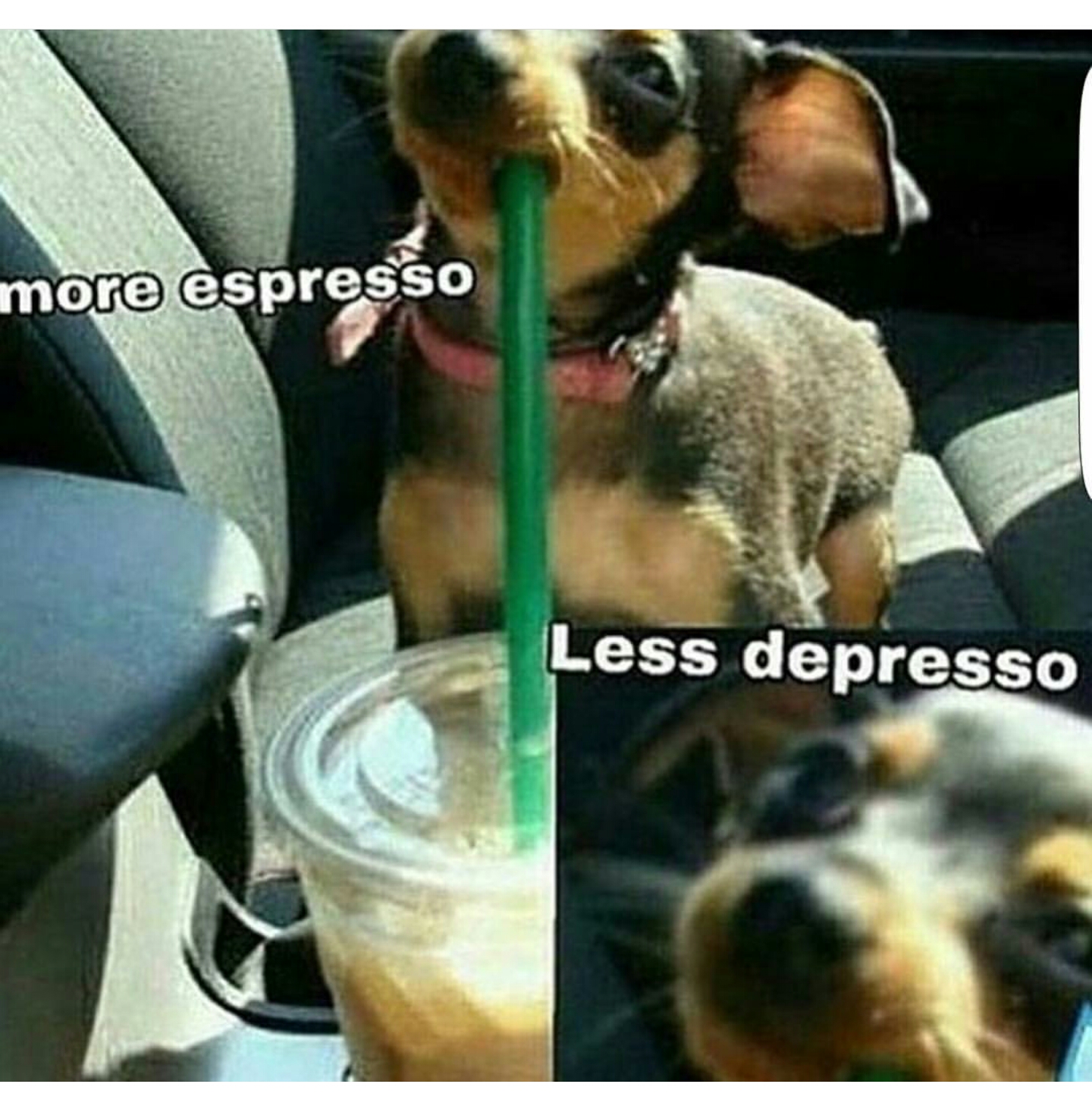 more espresso the less depresso - more espresso Less depresso