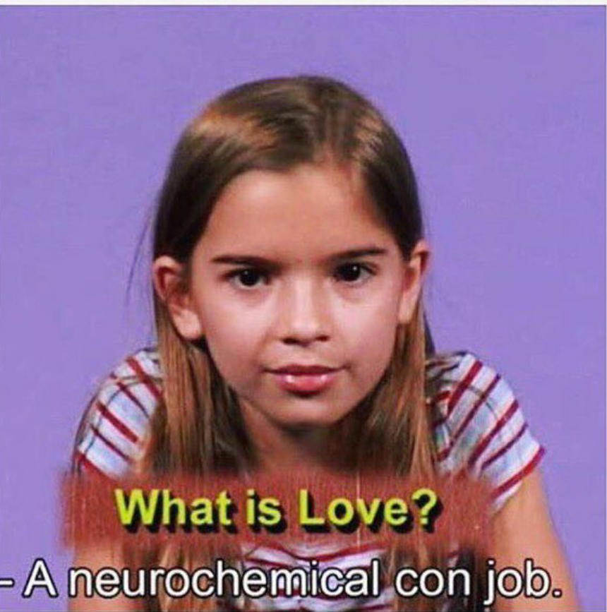 love neurochemical con job - What is Love? A neurochemical con job.