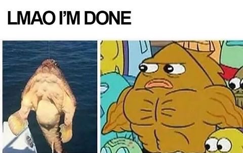 meme stream - dank spongebob memes - Lmao I'M Done