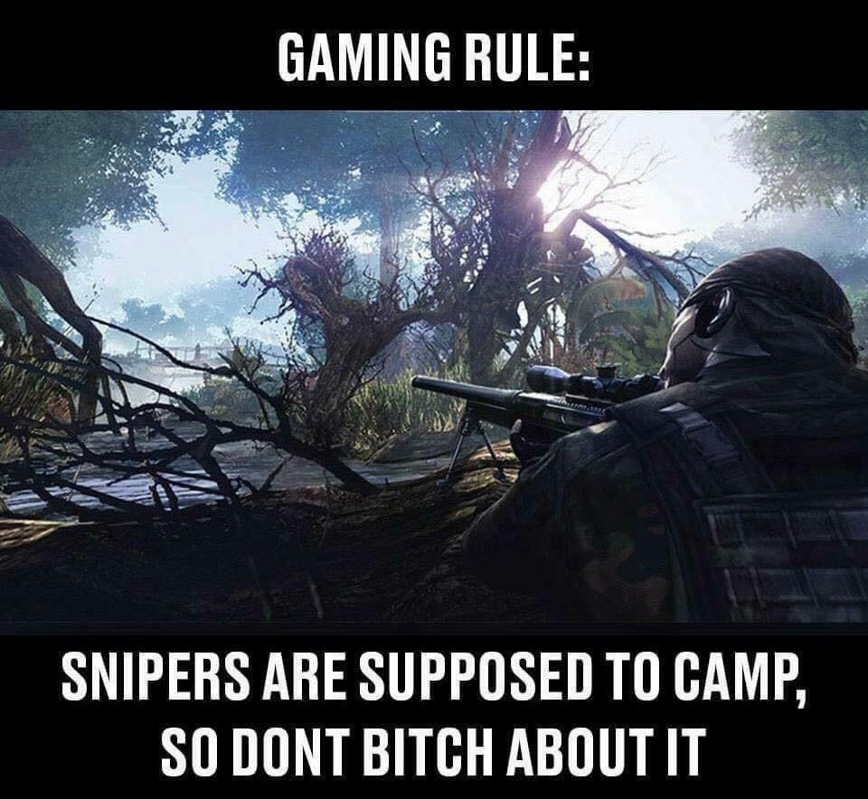meme stream - Gaming Rule Snipers Are Supposed To Camp, So Dont Bitch About It