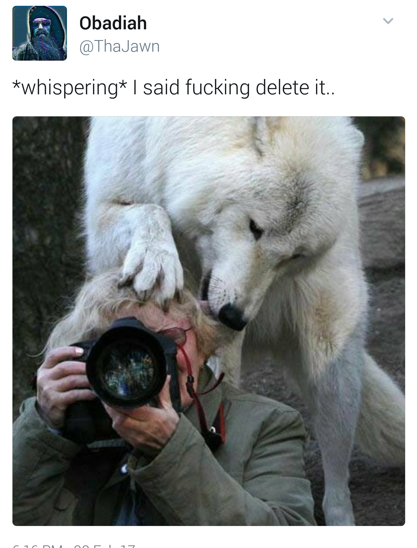 animals interrupting wildlife photography - Obadiah whispering I said fucking delete it..