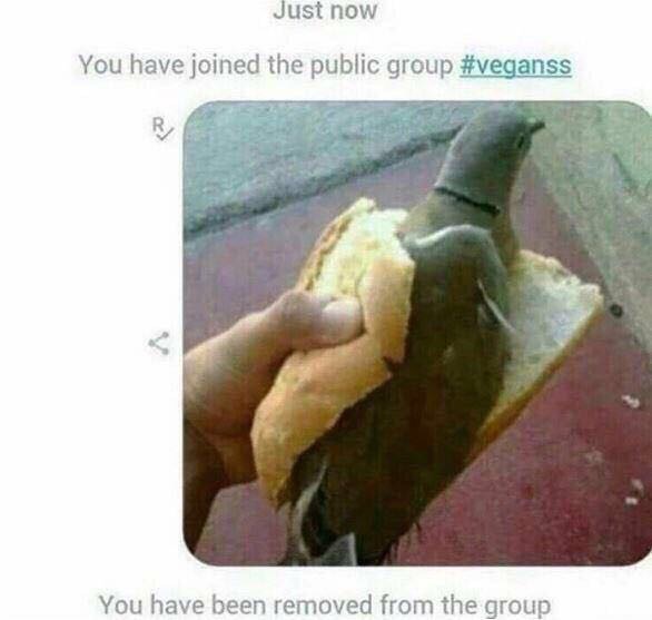 you have joined the public group vegans - Just now You have joined the public group You have been removed from the group