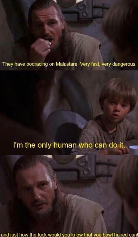anakin gets burned meme - They have podracing on Malastare. Very fast, very dangerous. I'm the only human who can do it. and just how the fuck would you know that you bowl haired cunt