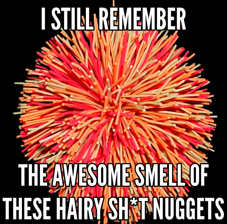 I Still Remember The Awesome Smell Of These Hairy Sht Nuggets
