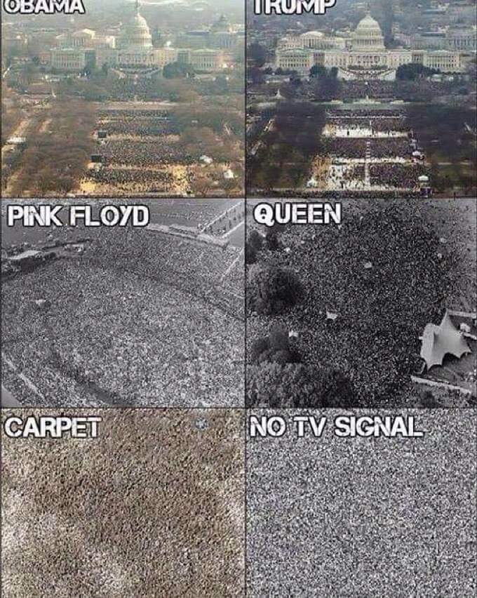 phospholipid bilayer meme - Obama Urump Pink Floyd Queen Carpet No Tv Signal