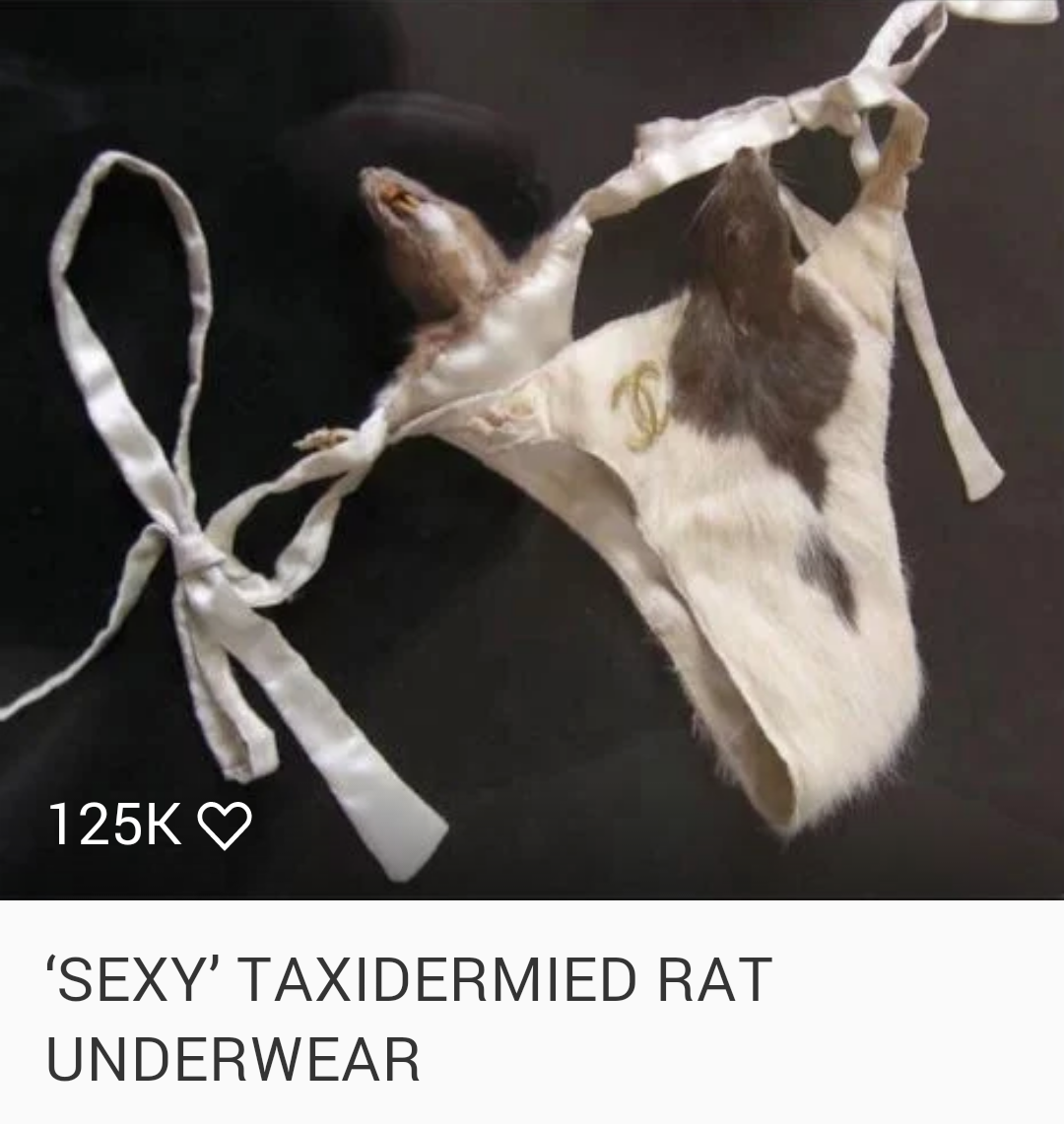 sexy taxidermied rat underwear - 'Sexy' Taxidermied Rat Underwear