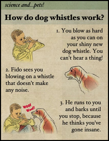 memes - cartoon - science and...pets! How do dog whistles work? 1. You blow as hard as you can on your shiny new dog whistle. You can't hear a thing! 2. Fido sees you blowing on a whistle that doesn't make any noise. woot Woof? 3. He runs to you and barks