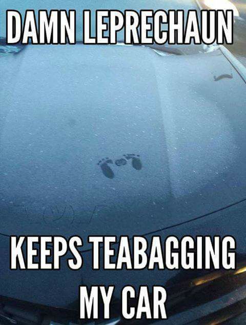 memes - best adult memes - Damn Leprechaun Keeps Teabagging My Car