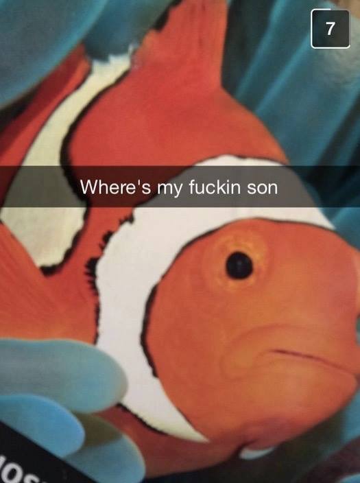 memes - wheres my fuckn son - Where's my fuckin son Og