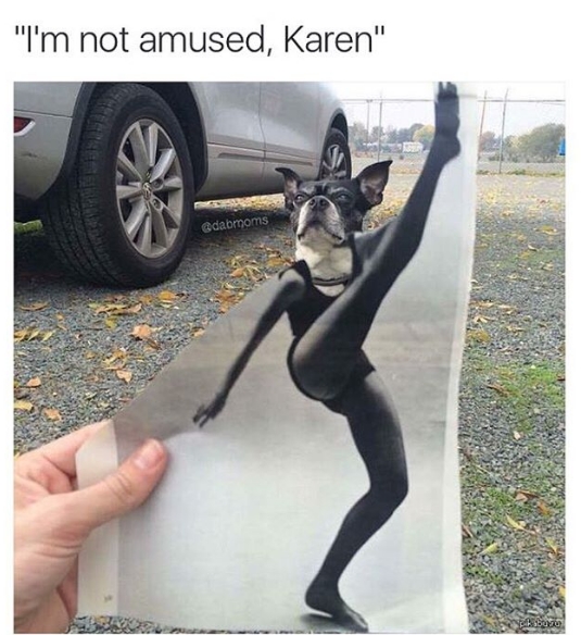give them the razzle dazzle - "I'm not amused, Karen" odabmoms