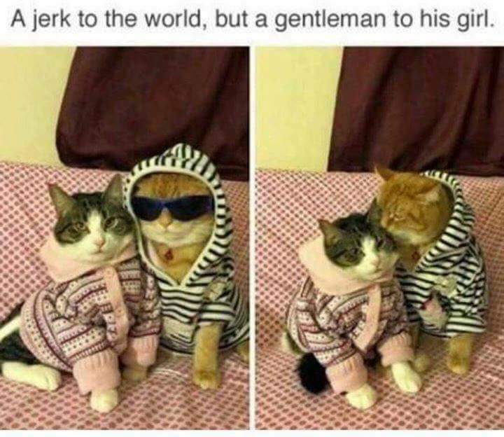 asshole to the world but sweetheart to his girl meme - A jerk to the world, but a gentleman to his girl.