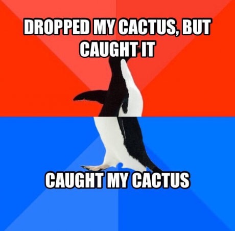 meme stream - u.s. space & rocket center - Dropped My Cactus, But Caught It Caught My Cactus
