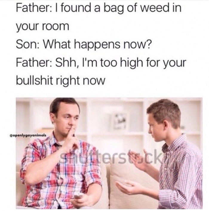 father and son angry - Father I found a bag of weed in your room Son What happens now? Father Shh, I'm too high for your bullshit right now stogterstecki