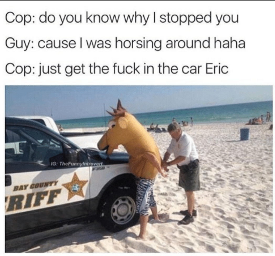 meme stream - stop horsing around meme - Cop do you know why I stopped you Guy cause I was horsing around haha Cop just get the fuck in the car Eric Ag TheFurnyintrovert Riff