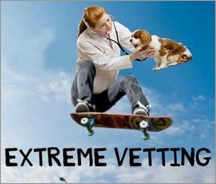 meme stream - extreme vetting meme - Extreme Vetting