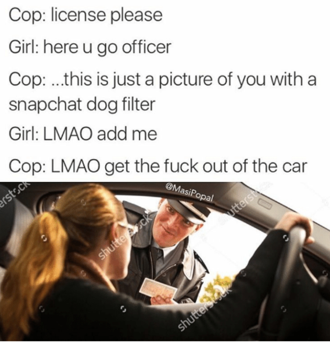 meme stream - hoe filter meme - Cop license please Girl here u go officer Cop ..this is just a picture of you with a snapchat dog filter Girl Lmao add me Cop Lmao get the fuck out of the car Arstsch shutterck shutters